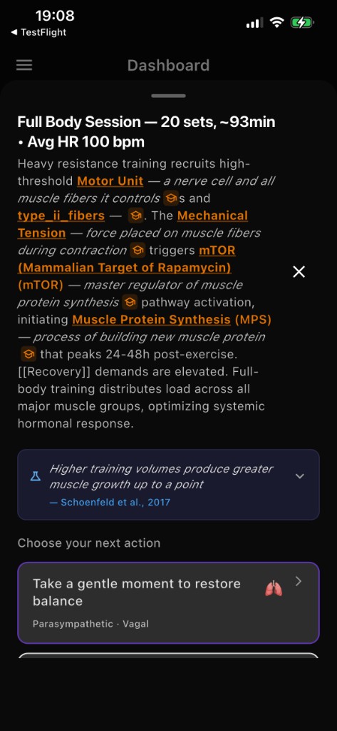 Forjum full body session summary and next action cards